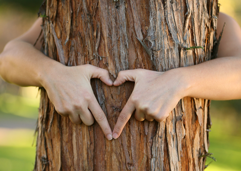 Trees as Surrogates for Performing Rituals and Spells