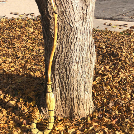 Whimsy Broom - Style