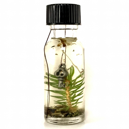 .5 ounce bottle of Twichery Road Opener (Abre Camino) Hoodoo ritual oil with traditional herbs, a fresh pine sprig, and a symbolic key representing the opening of new pathways and opportunities.